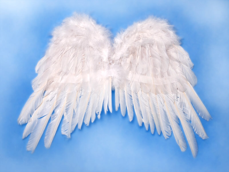 Anjelské krídla 53x37cm