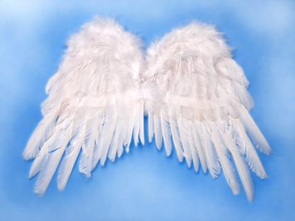 Anjelské krídla 53x37cm