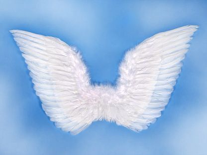 Anjelské krídla 75 x 45 cm