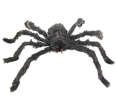 Chlpatý Pavúk veľký čierný 60cm