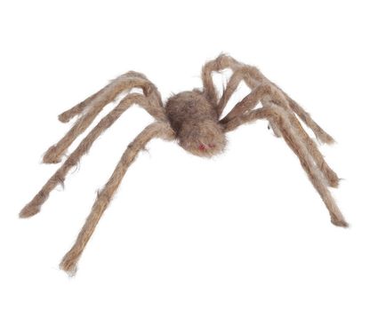 Chlpatý pavúk hnedo-sivý 60cm