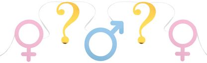 Girlanda Gender Reveal symboly 500x20cm