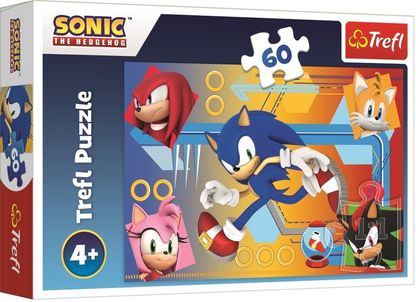 Puzzle Sonic 60 dielikov